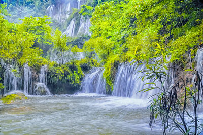 Scenic view of waterfall