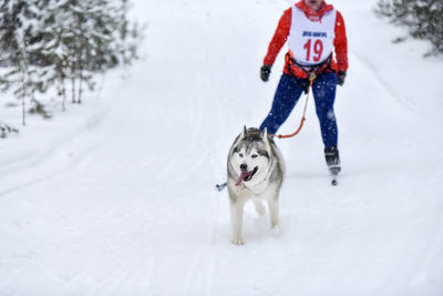 Full length of a dog in snow