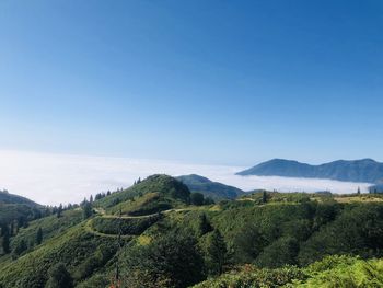 Scenic view of landscape against clear sky