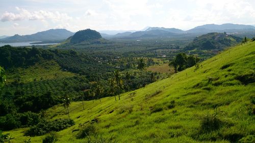 Scenic view of agricultural field against sky