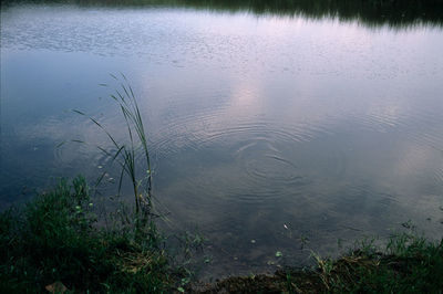 High angle view of lake