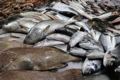 High angle view of fish for sale in market