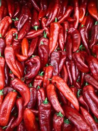Full frame shot of red chili peppers