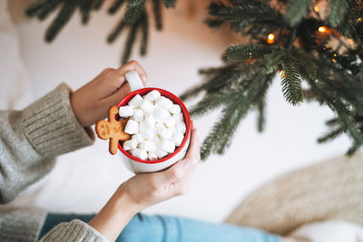 Young woman in cozy sweater with cup of cocoa with marshmallow in room with christmas tree at home