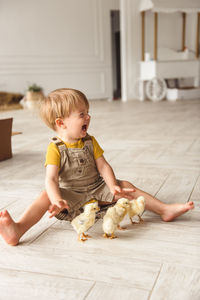 Boy playing with ducks for easter