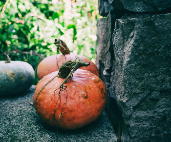 Close-up of pumkins on stone wall 