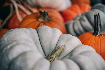 Close-up of pumpkin for sale at market