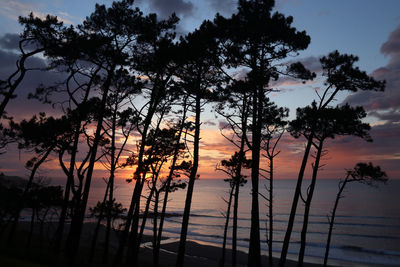 Silhouette trees against sky during sunset