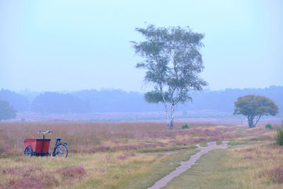Trees on field against sky