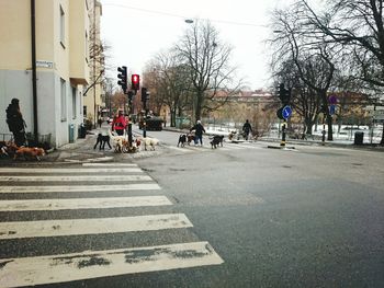 People walking on road