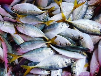 Close-up of fish for sale at market