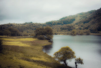 Scenic view of lake and trees against sky