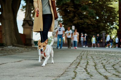 Woman walks with dog at city street