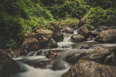 Scenic view of waterfall in forest