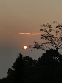 Low angle view of silhouette trees against sky during sunset