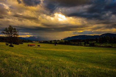 Scenic view of field against sky during sunset