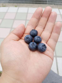 Close-up of human hand holding fruit