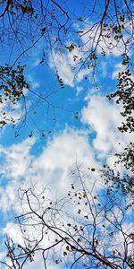 Low angle view of cherry blossom against blue sky