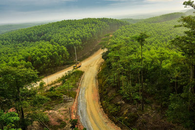 Scenic view of road amidst trees against sky