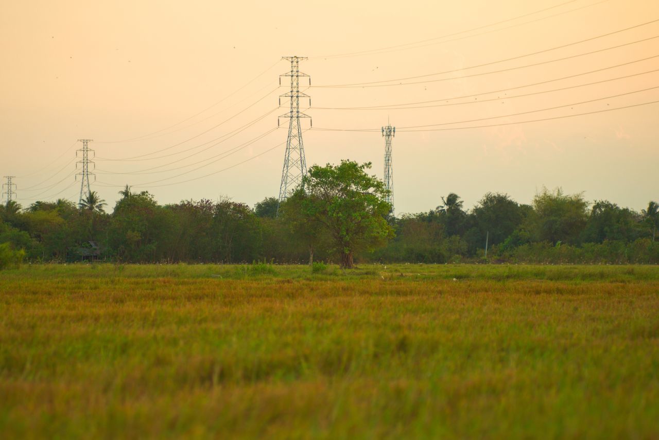 electricity, plant, land, technology, field, cable, electricity pylon, landscape, fuel and power generation, grass, sky, tree, power supply, no people, power line, connection, environment, nature, scenics - nature, beauty in nature, outdoors, telephone line