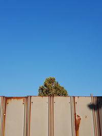 Low angle view of plants against clear blue sky