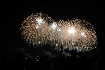 Firework display at night