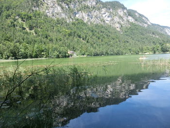 Scenic view of lake by trees