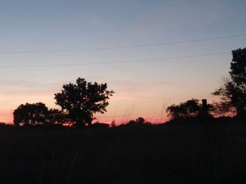 Silhouette trees against clear sky during sunset