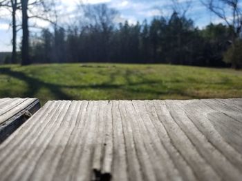 Close-up of wood against trees