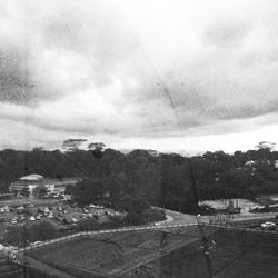 Trees against cloudy sky