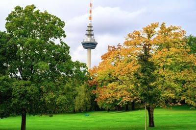 View of trees and tower against sky