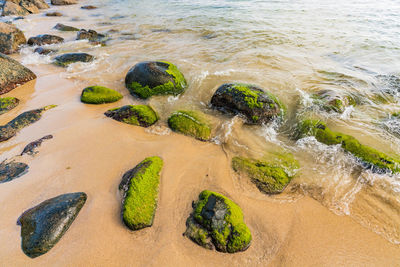 High angle view of beach