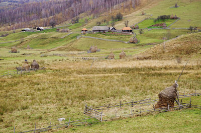 High angle view of green landscape 