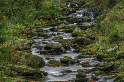 Stream flowing through rocks in forest