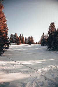 Snow covered field against clear sky