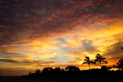 Silhouette trees against dramatic sky during sunset