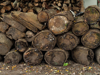 Full frame shot of stacks of logs