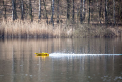 Yellow toy boat sailing in lake against trees