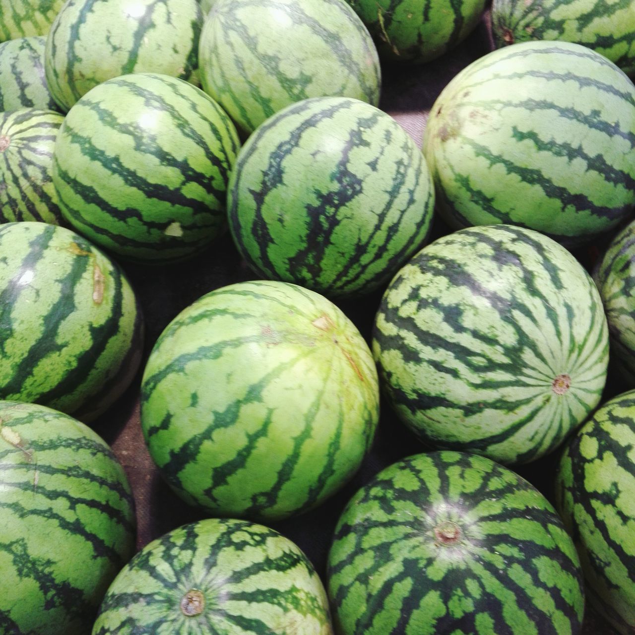 full frame, backgrounds, freshness, food and drink, food, healthy eating, abundance, green color, large group of objects, close-up, still life, vegetable, organic, high angle view, indoors, stack, fruit, no people, for sale, variation