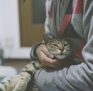 Close-up of hand holding kitten