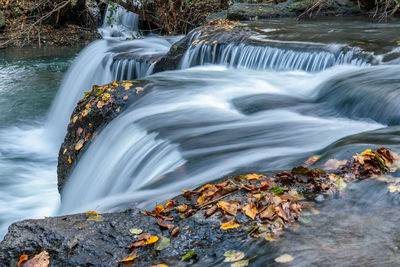 Scenic view of waterfall in forest