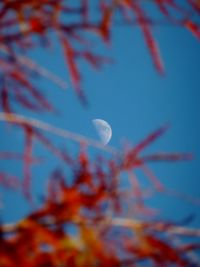 Low angle view of moon against sky