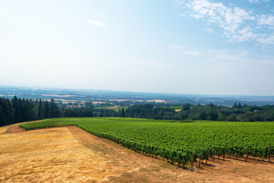 View of fields against the sky