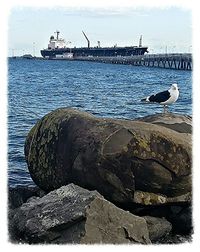 View of harbor