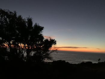 Silhouette trees by sea against sky during sunset