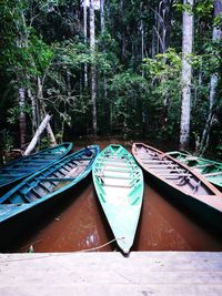 Boats moored on tree by boat