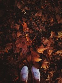 Low section of person standing on autumn leaves