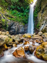 Scenic view of waterfall in forest