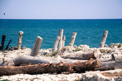 Driftwood on beach against clear sky