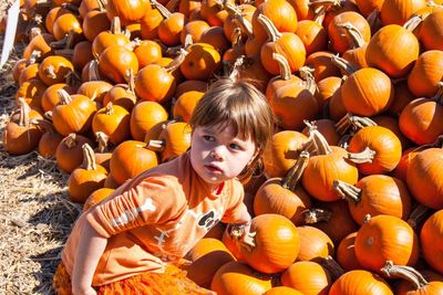 High angle view of cute girl standing against pumpkins